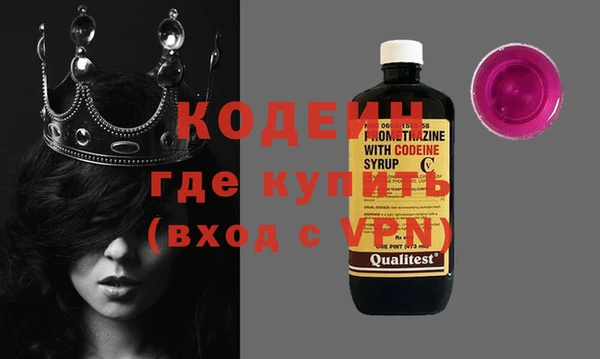 молекула духа Пестово