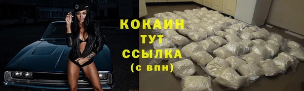 mix Пересвет