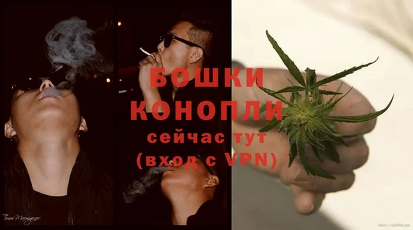 молекула духа Пестово