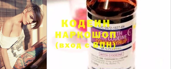 молекула духа Пестово