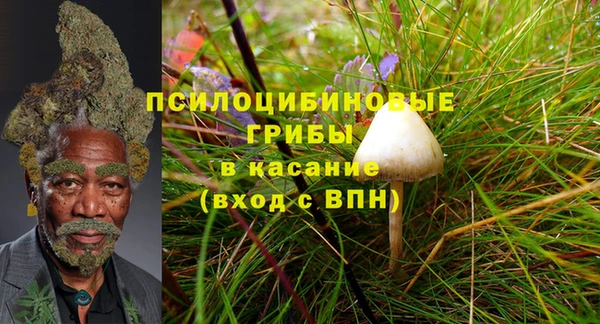 mix Пересвет