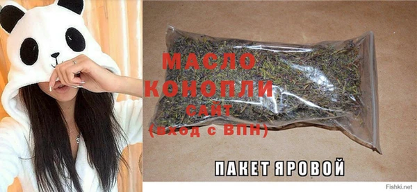 молекула духа Пестово