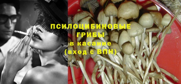 молекула духа Пестово
