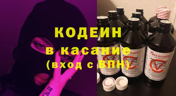 молекула духа Пестово
