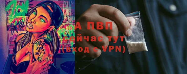молекула духа Пестово