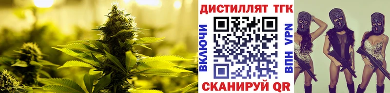 ссылка на мегу маркетплейс Анжеро-Судженск Дистиллят ТГК гашишное масло