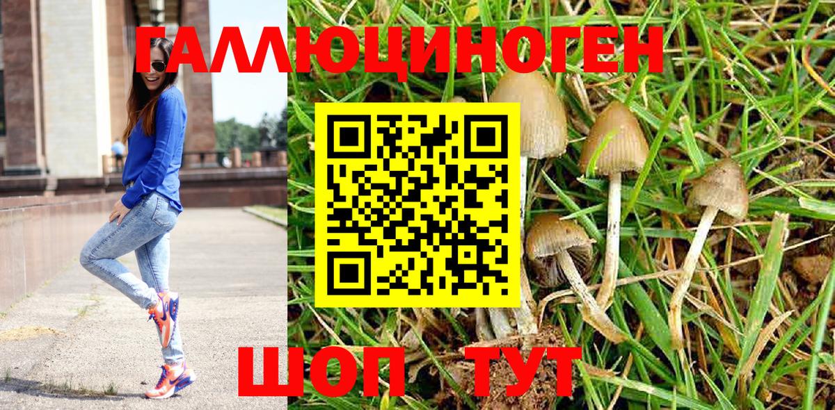 Анжеро-Судженск  хочу   Вход с VPN  Псилоцибиновые грибы GOLDEN TEACHER 