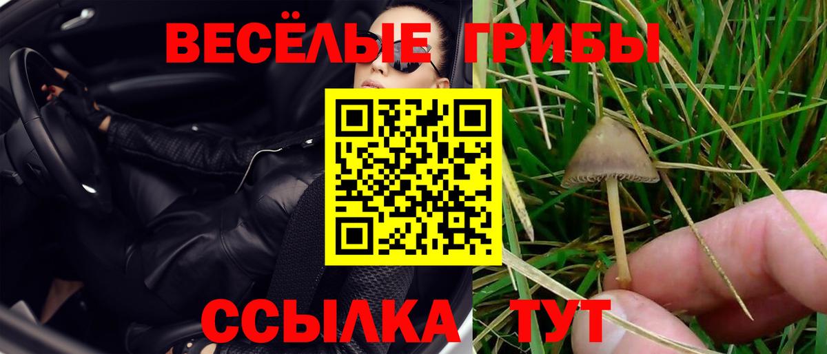 Псилоцибиновые грибы мухоморы  Вход с VPN  где купить наркоту  Анжеро-Судженск 