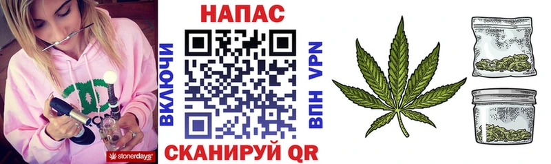 Канабис семена где купить наркотик KRAKEN как зайти Анжеро-Судженск