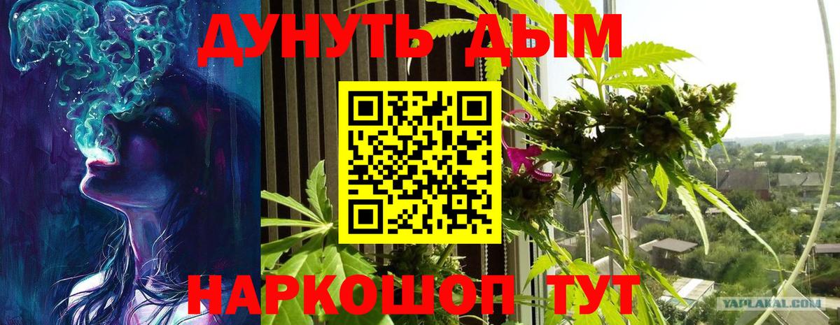 Бошки марихуана AK-47  Марихуана тримм  Конопля индика  Вход с VPN  Анжеро-Судженск 